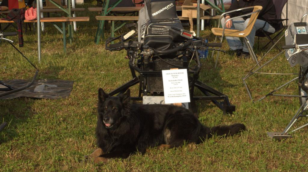 Charly, Camp Protector