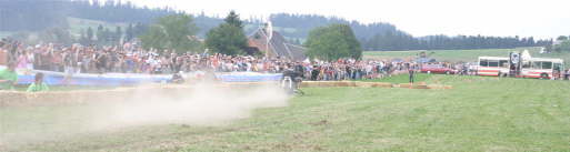 IMG_5900 (Large)